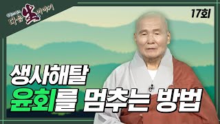 생사해탈 윤회를 멈추는 방법 - 동훈스님 다음생이야기 17회