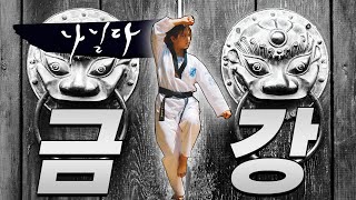 단단한 품새 | 서울대 | 전연서 | 금강품새(山) |…