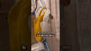 왜 저러고 있을까요?