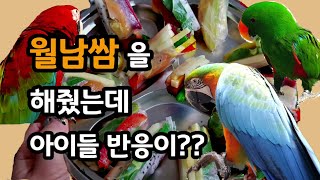 새로운음식을 만들어줬을때 아이들 반응은? / 월남쌈 먹자~