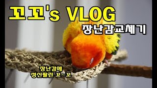 썬코뉴어_꼬꼬's VLOG 장난감교체기
