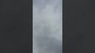 도심속에서 메아리치는 청금강 울음소리