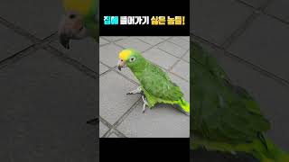 집에 들어가기 싫은 놈들!!