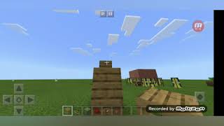 추석편-앵무새의날 2