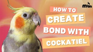 How to Bond with Your Cockatie…