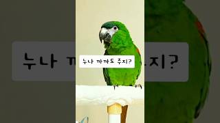 누나 까까도 주지? #귀여운앵무새 #말하는앵무새 #한스…