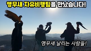 매주 산에서 앵무새 던지는 사람들이 있다고 해서 가봤는…