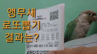 공서연.888회차 로또.앵무 가을이 로또뽑기 결과는?2…