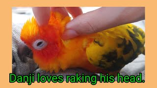 What is the most favorit thing…