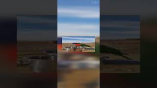 오랜만에 앵무새 사진 모음!