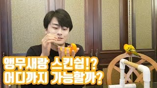 앵무새랑 스퀸쉽 어디까지 가ᄂ…