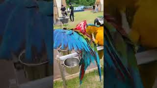 더운날 시원하게 야외에서 목욕~~홍금강 크림이