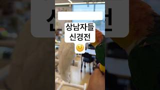 환타방구석 여포의 최후           #shorts…