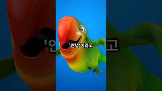 &quot;앵무새에게 '안녕'만 100번 말했더니...…