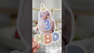 이제 세 살 엉아라꾸!(8월5일) #생일#퀘이커앵무송꾸…
