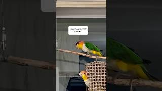 연상연하 카이큐 커플의 일상.