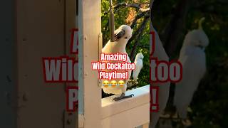 What If Cockatoos Become The MOST POPULAR Pet In 2025?