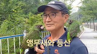 아주 예쁜 앵무새 두마리와 등산 하러 가시는 아저씨를 …