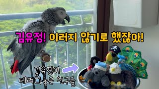 동상이몽 목화솜형제 / 김유정한테 복수하는 김루이