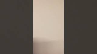 목욕한 소망이  달리는것도 빠르네  하는 행동도 귀엽고…