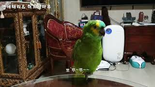 아마존 히트가 옹알이 목소리로 땡기고 노래와 뽀뽀뽀 를 너무 잘하네요 ㅋㅋ 가수 시켜야 겠에요 ㅋㅋ