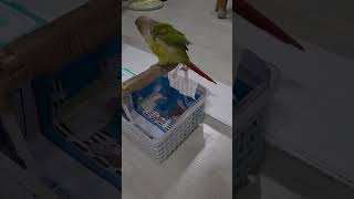 코뉴어응가하기