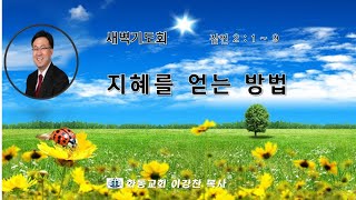 [화동교회] 2020.10.12(월) 새벽기도회 | 지혜를 얻는 방법(잠언 2장)