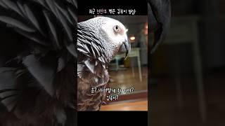 [다시 보고싶은 영상] 실수를 깨달았을땐 이미 김유정은…