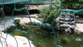 물향기수목원 (Mulhyanggi Arboretum) 03 - 관상조류원