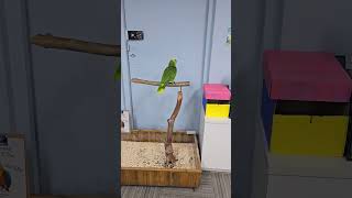 .....? 노래 하넹