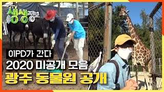 [2TV 생생정보] 이PD의 2020 고군분투 노동기 …