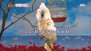 SBS TV동물농장 (640회) 다시보기 #4(5)