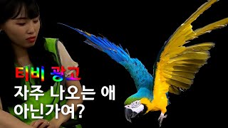 극한직업 제 3탄 아산생태곤충원 앵무새 미호 밥주기 (ft.공무원 서포터즈)