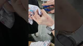 꽁패.버드펠리스.뽀미부리손질.2025.3.31