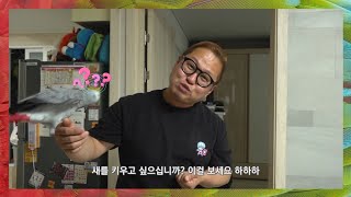 앵무새를 키우고 싶으신가요? [OBS 이것이 인생이다 방영]