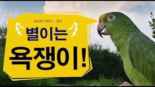 화는 원래 많고~ 이젠 욕도 잘 해요!! / 욕쟁이 앵…