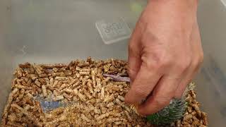 저 맘마 먹은고예여?