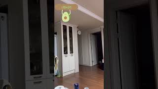 어떻게 올라간겨? #앵무새 #퀘이커 #parrot #높은곳으로 날다#문위