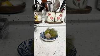 물만 보면 신나는 코뉴어 앵무새 코코. #앵무새#코뉴어#앵무새코코#목욕하는앵무새