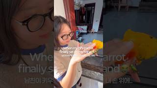앵무새 귀엽다.. #국제커플 #international…