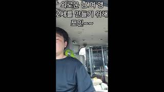 꽁패.한스마카우.뽀미.아빠되기 프로젝트.2011.6.25