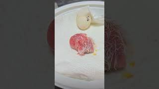 카이큐 앵무새 부화 1일차