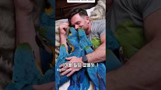 진정한 앵무새 아빠