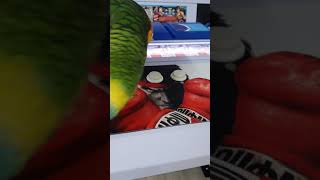 추억의 오락게임기 와 아마존앵무