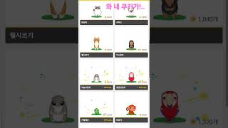 드뎌 홍금강앵무새~ (이펫들 하루만에 다 모은거입니다. ^^)