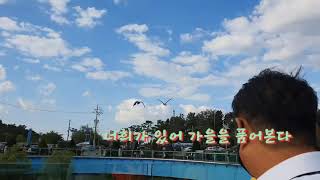 #마카우앵무새 #가을하늘을날다 #자유비행 #아라마루전망…