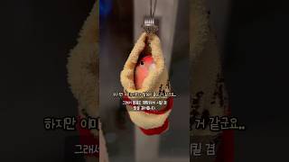 잠투정쟁이 수다쟁이 앵무새 모여라