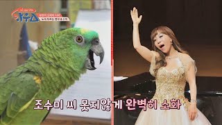부천의 오페라 디바♬ 노래부르는 ′앵무새 수미′ 등판-…
