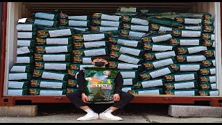 앵무새 사료 찾고 계시나요? 중대형 앵무새 사료 13톤 입고 중대형 앵무새 사료 추천!!(수정본 재업로드)