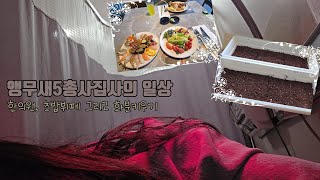 앵무새5총사집사의 일상 - 한의원, 초밥뷔페 그리고 화…